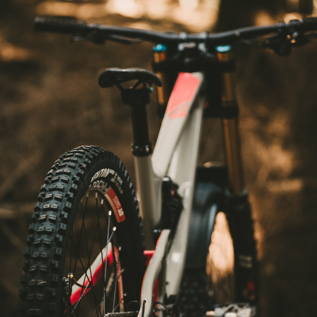 Goodyear MTB Tyre Newton MTR Downhill Tubeless