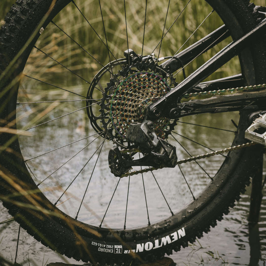 Goodyear MTB Tyre Newton MTR Enduro Tubeless