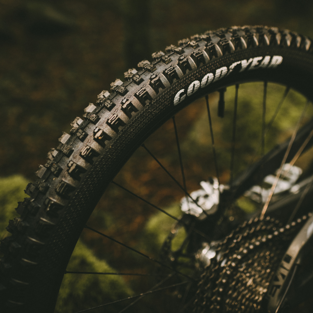 Goodyear MTB Tyre Newton MTR Trail Tubeless